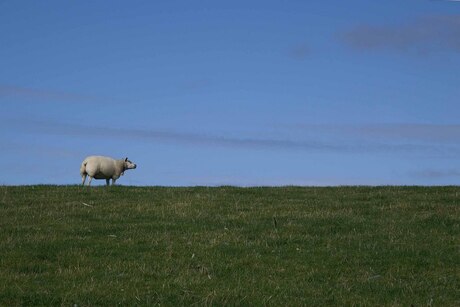 Ameland