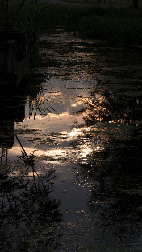 zonsopkomst in water