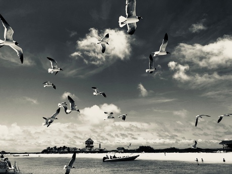 Auke Planjer foto curacao