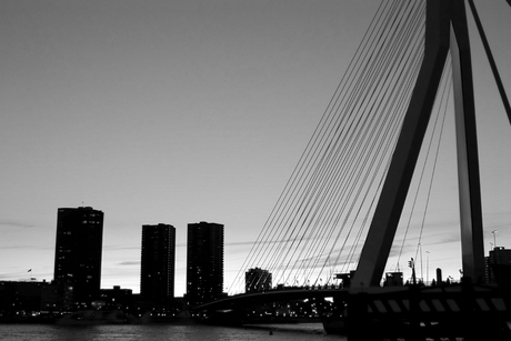 Rotterdam in black and white 2