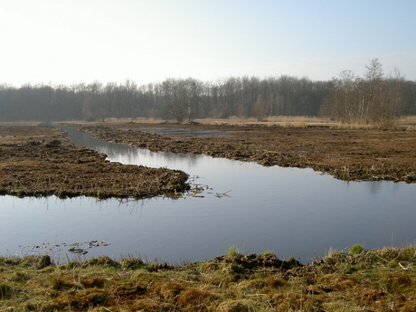 Amsterdamse Bos