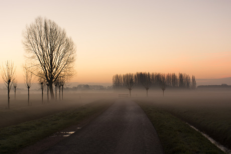 Zonsopkomst Tiel Passewaaij