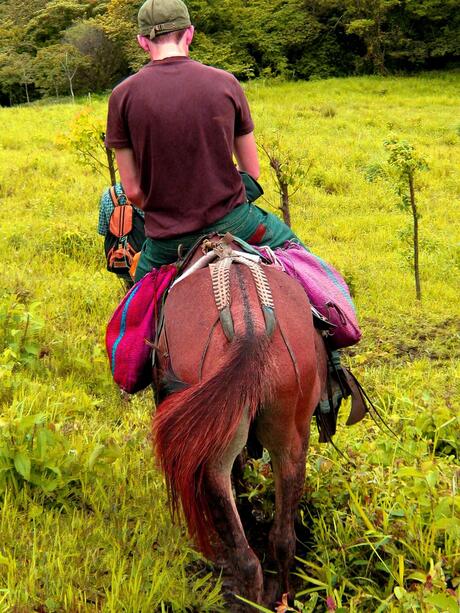 Paard, Caballo riding