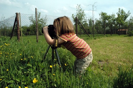 Lenne in actie