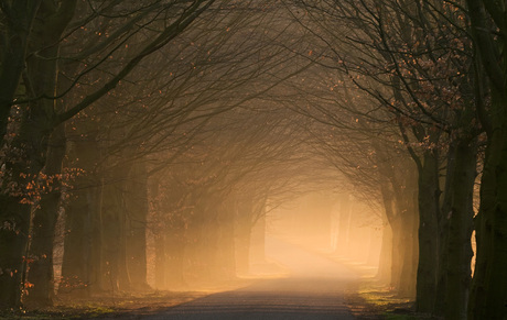 Tunnel van licht