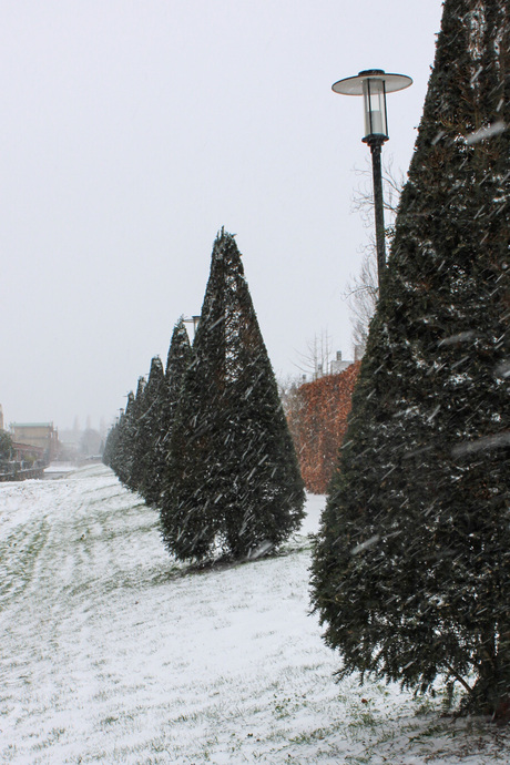 Sneeuwplaatje