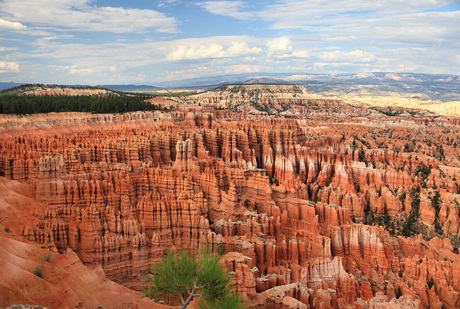 Amphitheater, Bryce Canyon