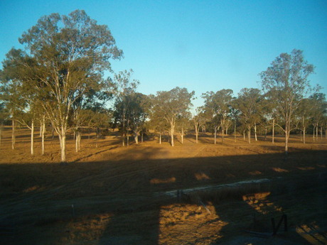 Aussie landscape