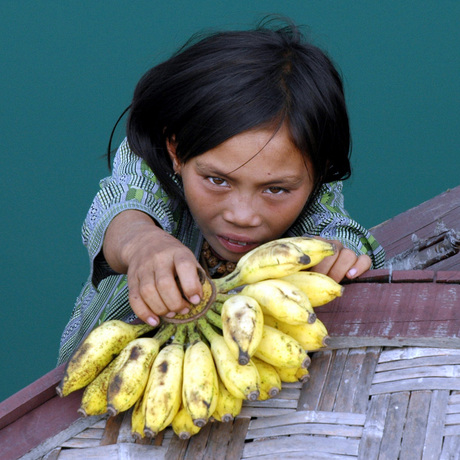 Vietnamees meisje verkoopt bananen