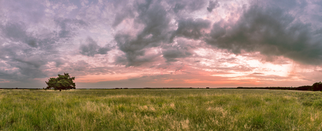 Dwingelderveld Nature Walk