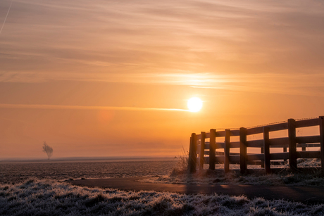 Zonsopkomst Bentwoud