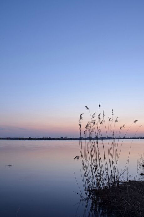 Het blauwe uurtje