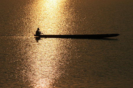 Visser op de Mekong