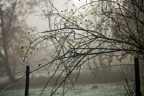 Winter komt eraan