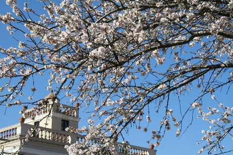 Lente in Spanje