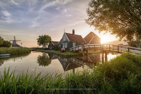 Amazing Holland