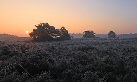 koud begin van de dag