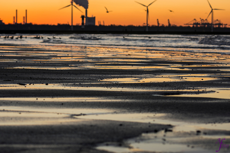 zonsondergang hoek van holland