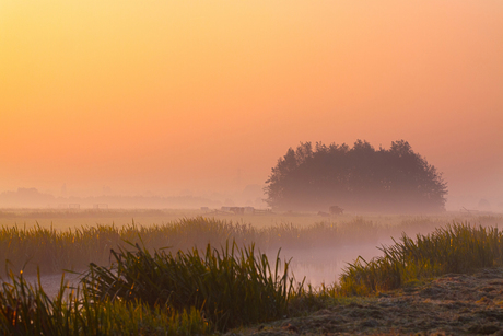 Orange Morning Glow