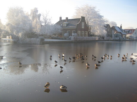 winterlandschap