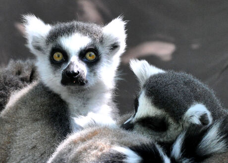 Are you taking a photo