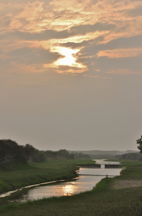 Bruggentjes in de waterleidingduinen