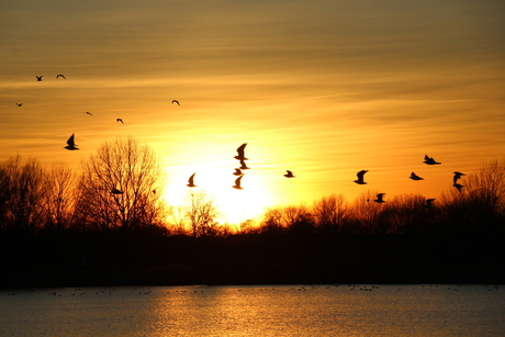 zonsondergang Nedereindse Plas Nieuwegein