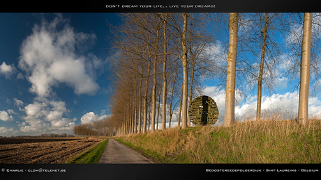 Meetjesland - Beoostereedepolderdijk 03