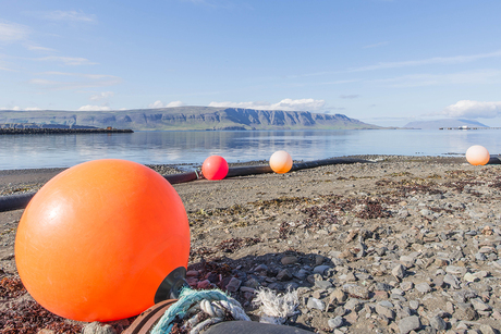 Kleur in Ijsland