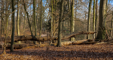 het ENGELS werk park te ZWOLLE