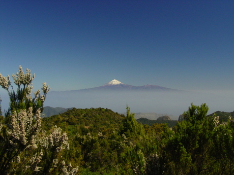 Sneeuwtop in de lente