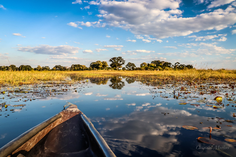 Okavango Delta, Botswana