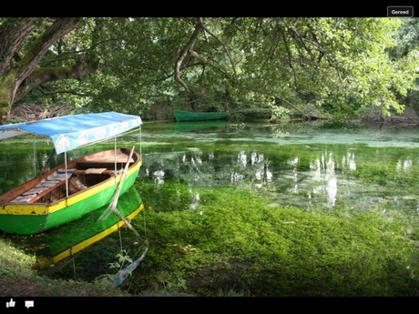 Colorful boat in green landscape