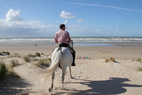 man en paard