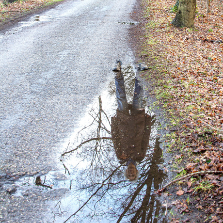 Ghost reflection