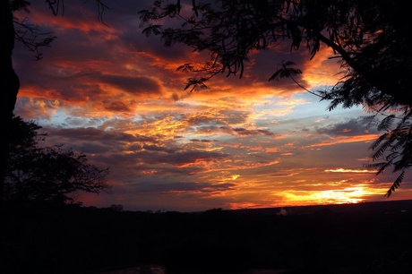 Sunset at Zambesi river