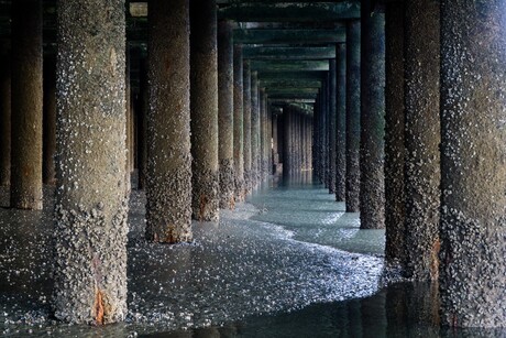 pillars of the sea