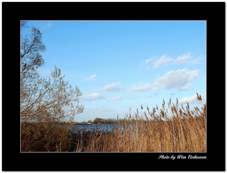 Biesbosch