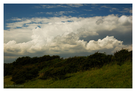 White Cliffs of Dover 05