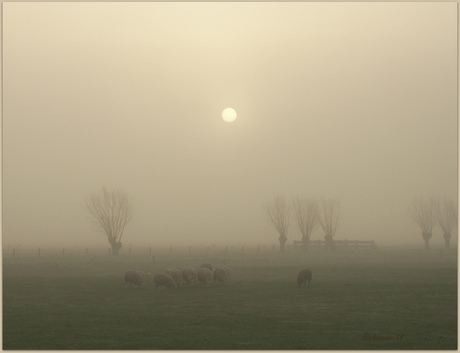 mistig gouden uurtje