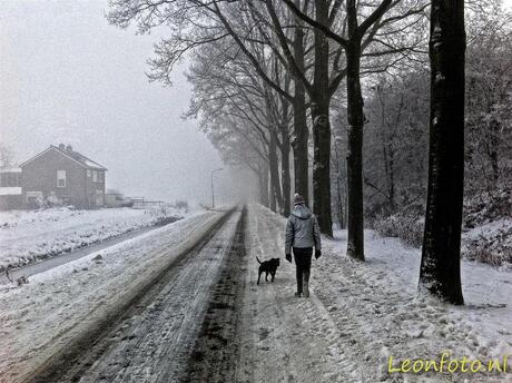 Winterwandeling met hond (Iphone 4)