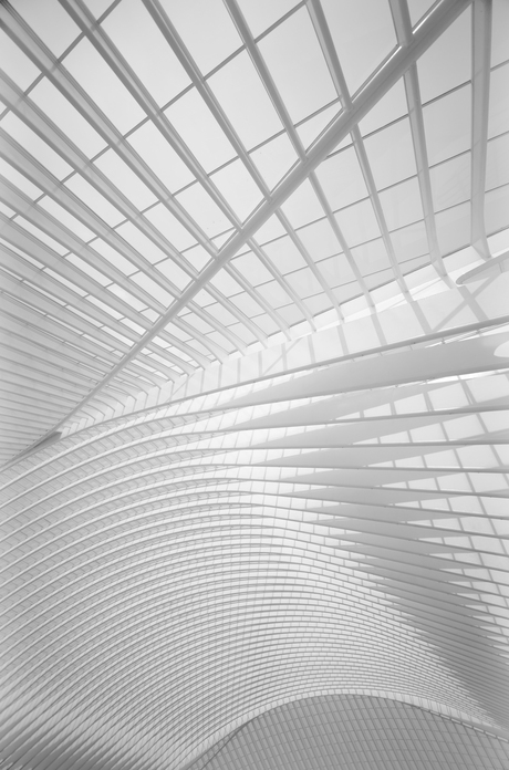 0010_Luik Guillemins-11