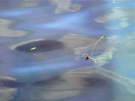 Water en wolken spiegeling