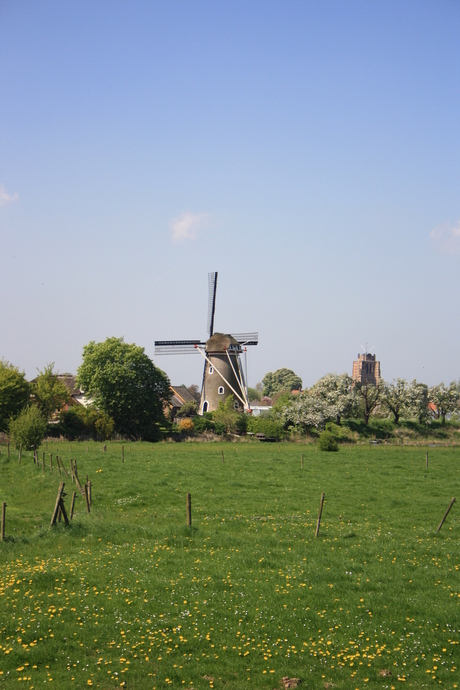 de molen