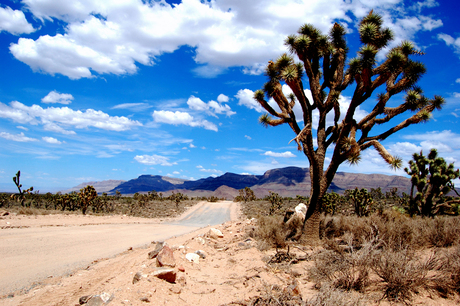 Arizona West USA