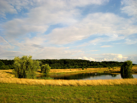 Boschmolenplas