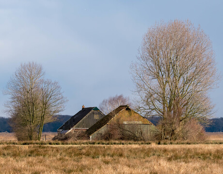 Onder het Hogeland