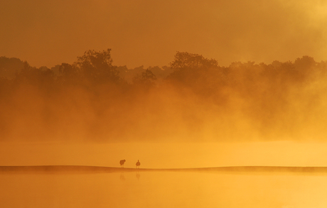 Golden sunrise