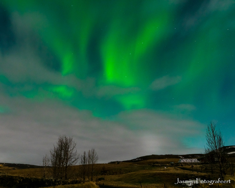 Noorderlicht op IJsland