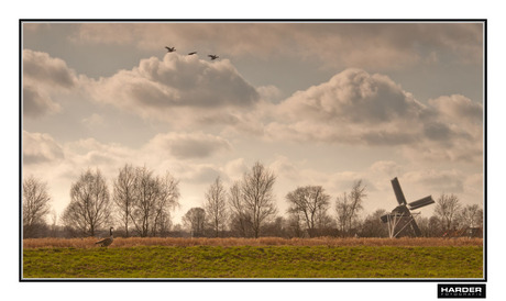 Fries landschap